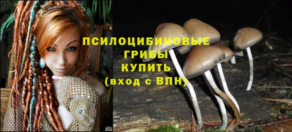прущая мука Балахна