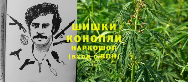 спайс Козельск