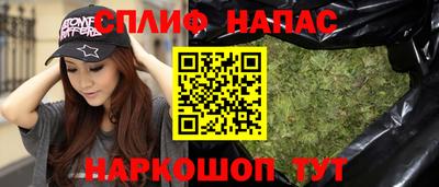 стафф Гай