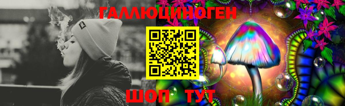 Псилоцибиновые грибы Psilocybine cubensis Печора